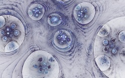 2014 04 14 Plastic 36-white.jpg